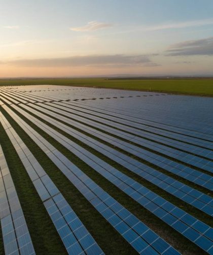 Agrivoltaïsme : optimiser la production agricole et énergétique grâce aux installations solaires combinées