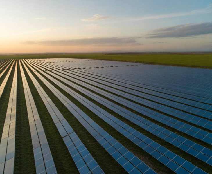 Agrivoltaïsme : optimiser la production agricole et énergétique grâce aux installations solaires combinées