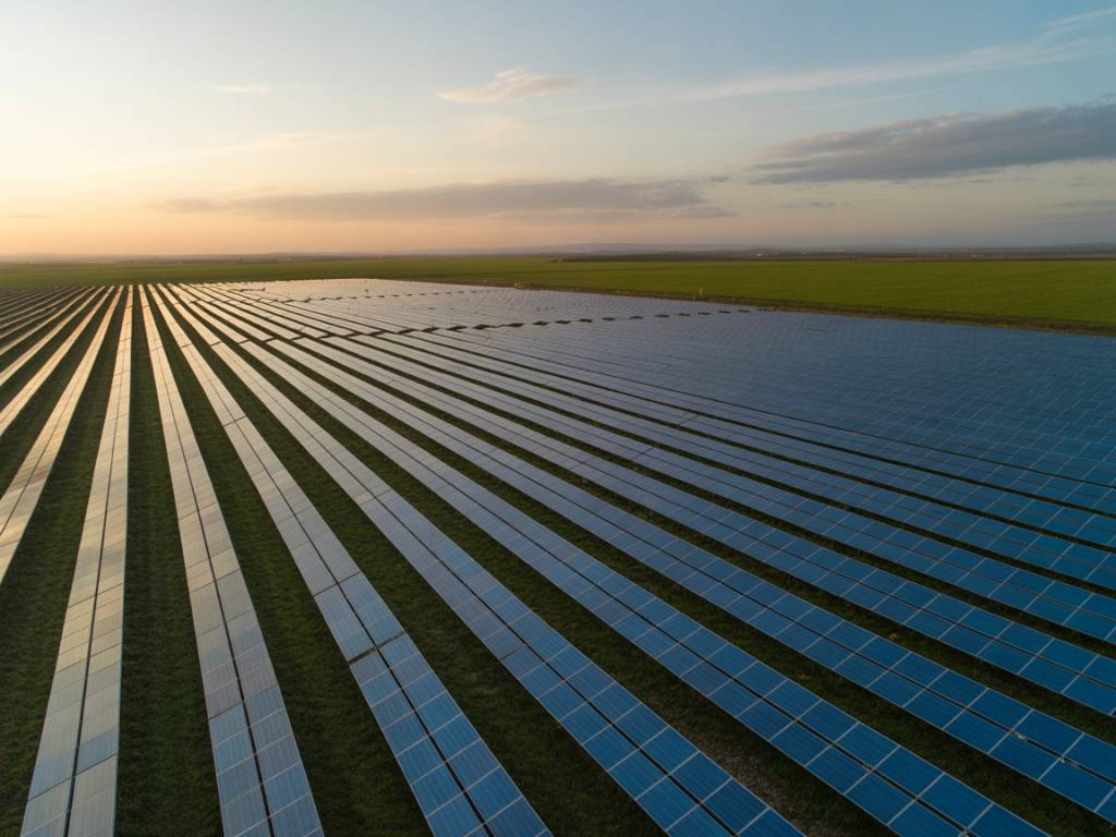 Agrivoltaïsme : optimiser la production agricole et énergétique grâce aux installations solaires combinées