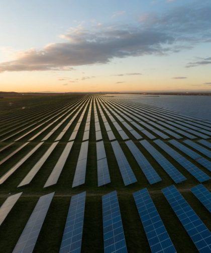 L'utilisation de l'intelligence artificielle pour optimiser la gestion et le rendement des installations solaires hybrides